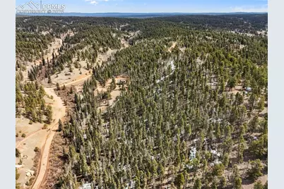 464 E Bison Creek Trail, Florissant, CO 80816 - Photo 14