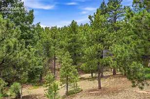 2130 Arapahoe St, Woodland Park, CO 80863 - Photo 40