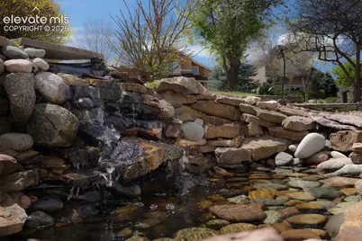 3670 Arborview Court, Colorado Springs, CO 80918 - Photo 4