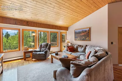 94 Pinewood Circle, Divide, CO 80814 - Photo 6