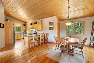 94 Pinewood Cir, Divide, CO 80814 - Photo 8