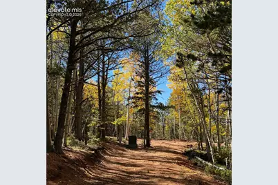 800 Timber Ridge Road, Divide, CO 80814 - Photo 4