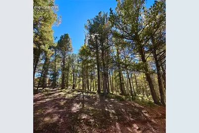 800 Timber Ridge Road, Divide, CO 80814 - Photo 14