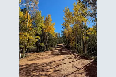 800 Timber Ridge Road, Divide, CO 80814 - Photo 20