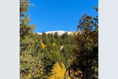 800 Timber Ridge Road, Divide, CO 80814 - Photo 16