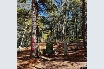 800 Timber Ridge Road, Divide, CO 80814 - Photo 12