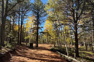800 Timber Ridge Rd, Divide, CO 80814 - Photo 1