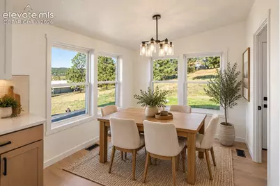 131 Dillon Lane, Florissant, CO 80816 - Photo 4