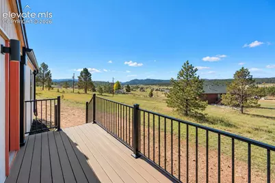 131 Dillon Lane, Florissant, CO 80816 - Photo 26