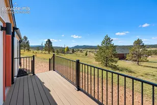 131 Dillon Ln, Florissant, CO 80816 - Photo 26