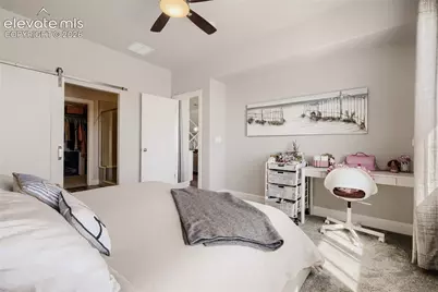 10129 Germander Grove, Colorado Springs, CO 80924 - Photo 12
