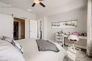 10129 Germander Grove, Colorado Springs, CO 80924 - Photo 12