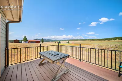 351 High Pasture Road, Florissant, CO 80816 - Photo 24