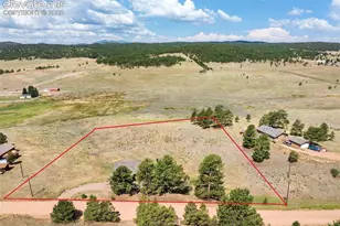 351 High Pasture Rd, Florissant, CO 80816 - Photo 36