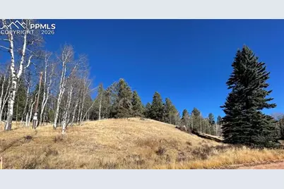 3090 N Mountain Estates Road, Florissant, CO 80816 - Photo 2