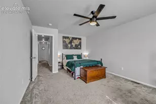 7649 Grand Fir Point, Colorado Springs, CO 80908 - Photo 12