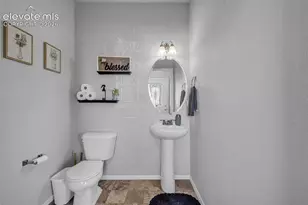 7649 Grand Fir Point, Colorado Springs, CO 80908 - Photo 10