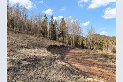 690 Anges Drive, Cripple Creek, CO 80813 - Photo 24