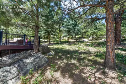 470 Paisley Drive, Colorado Springs, CO 80906 - Photo 44