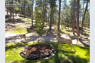 4125 Walker Vista Heights, Colorado Springs, CO 80908 - Photo 46