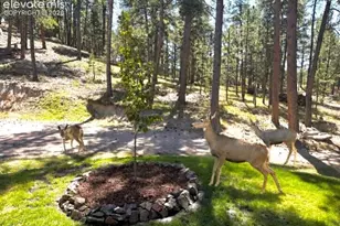 4125 Walker Vis Hts, Colorado Springs, CO 80908 - Photo 46