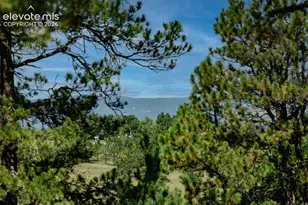 4125 Walker Vis Hts, Colorado Springs, CO 80908 - Photo 4