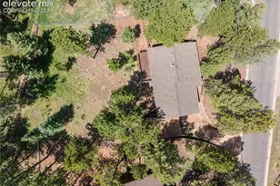 1257 W Midland Ave, Woodland Park, CO 80863 - Photo 38