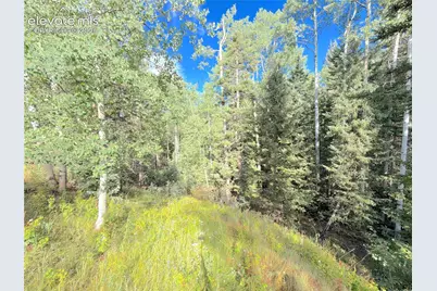 3300-3278 N Mountain Estates Road, Florissant, CO 80816 - Photo 4