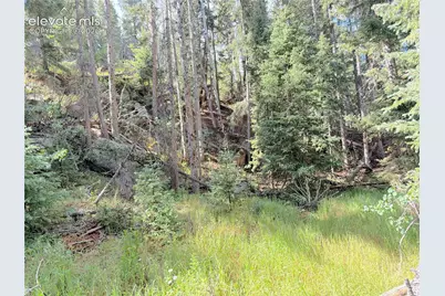 3300-3278 N Mountain Estates Road, Florissant, CO 80816 - Photo 6