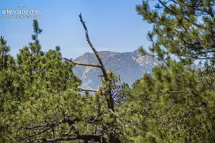 4465 Leprechaun Ln, Colorado Springs, CO 80908 - Photo 4