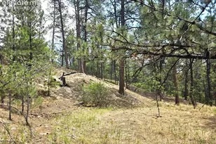 4465 Leprechaun Ln, Colorado Springs, CO 80908 - Photo 26