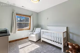 1195 Karen Ln, Woodland Park, CO 80863 - Photo 26