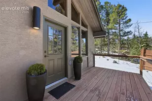 747 Trout Haven Rd, Florissant, CO 80816 - Photo 24