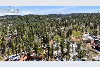 747 Trout Haven Road, Florissant, CO 80816 - Photo 12