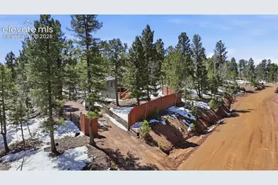 747 Trout Haven Road, Florissant, CO 80816 - Photo 20