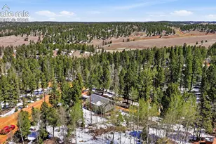 747 Trout Haven Rd, Florissant, CO 80816 - Photo 14