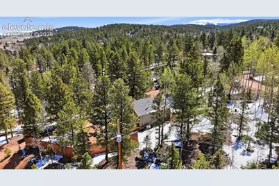 747 Trout Haven Road, Florissant, CO 80816 - Photo 10