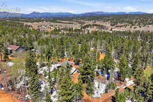 747 Trout Haven Rd, Florissant, CO 80816 - Photo 16
