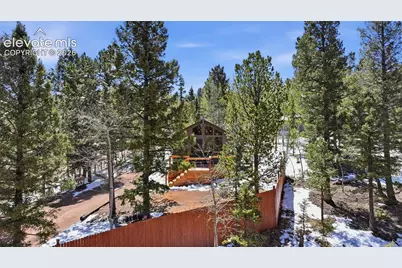 747 Trout Haven Road, Florissant, CO 80816 - Photo 22