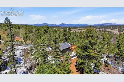 747 Trout Haven Road, Florissant, CO 80816 - Photo 18