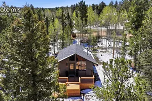 747 Trout Haven Rd, Florissant, CO 80816 - Photo 4