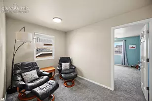 6356 Bearcat Loop, Colorado Springs, CO 80925 - Photo 20