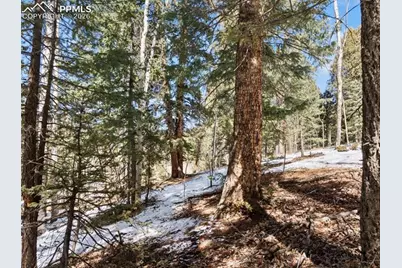 358 Pawutsy Road, Florissant, CO 80816 - Photo 16