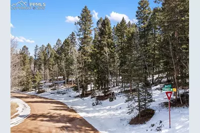 358 Pawutsy Road, Florissant, CO 80816 - Photo 12
