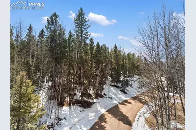 358 Pawutsy Road, Florissant, CO 80816 - Photo 4