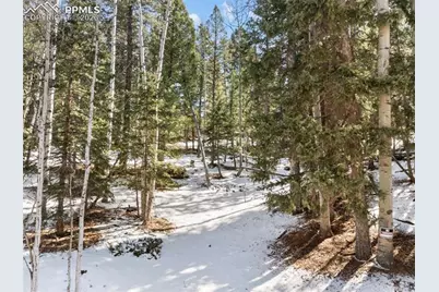 358 Pawutsy Road, Florissant, CO 80816 - Photo 10