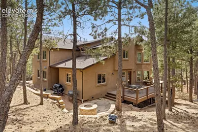 230 Blue Garter Way, Monument, CO 80132 - Photo 6