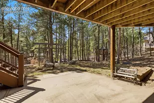 230 Blue Garter Way, Monument, CO 80132 - Photo 44