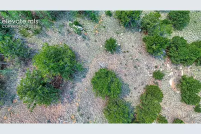 71 Brown Bear Lane, Cripple Creek, CO 80813 - Photo 8