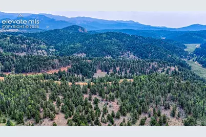 71 Brown Bear Lane, Cripple Creek, CO 80813 - Photo 10